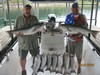 (08/31/2016) - Nice Striped Bass